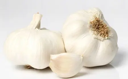 22 Khasiat dan Manfaat Bawang Putih Bagi Kesehatan Tubuh