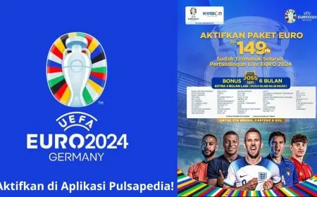 Inilah Alasan Kenapa Kamu Harus Beli Paket Euro 2024 K-Vision di Aplikasi Pulsapedia