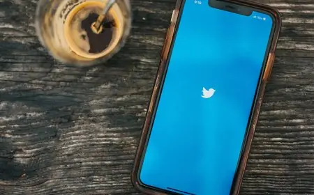 Download Video X (Twitter) Gratis Menggunakan SSSTwitter, Aman?